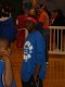 Thumbs/tn_2005 Winter Games 029.jpg